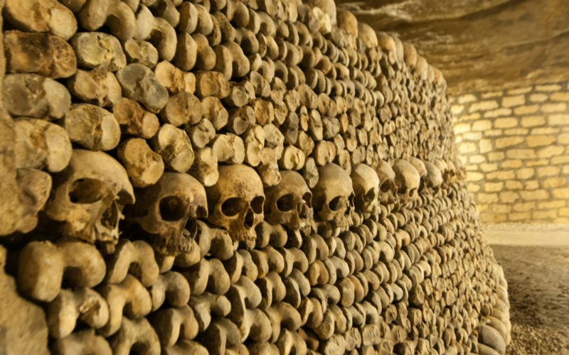 Paris catacombs_ Worth the hype_ - Trazler