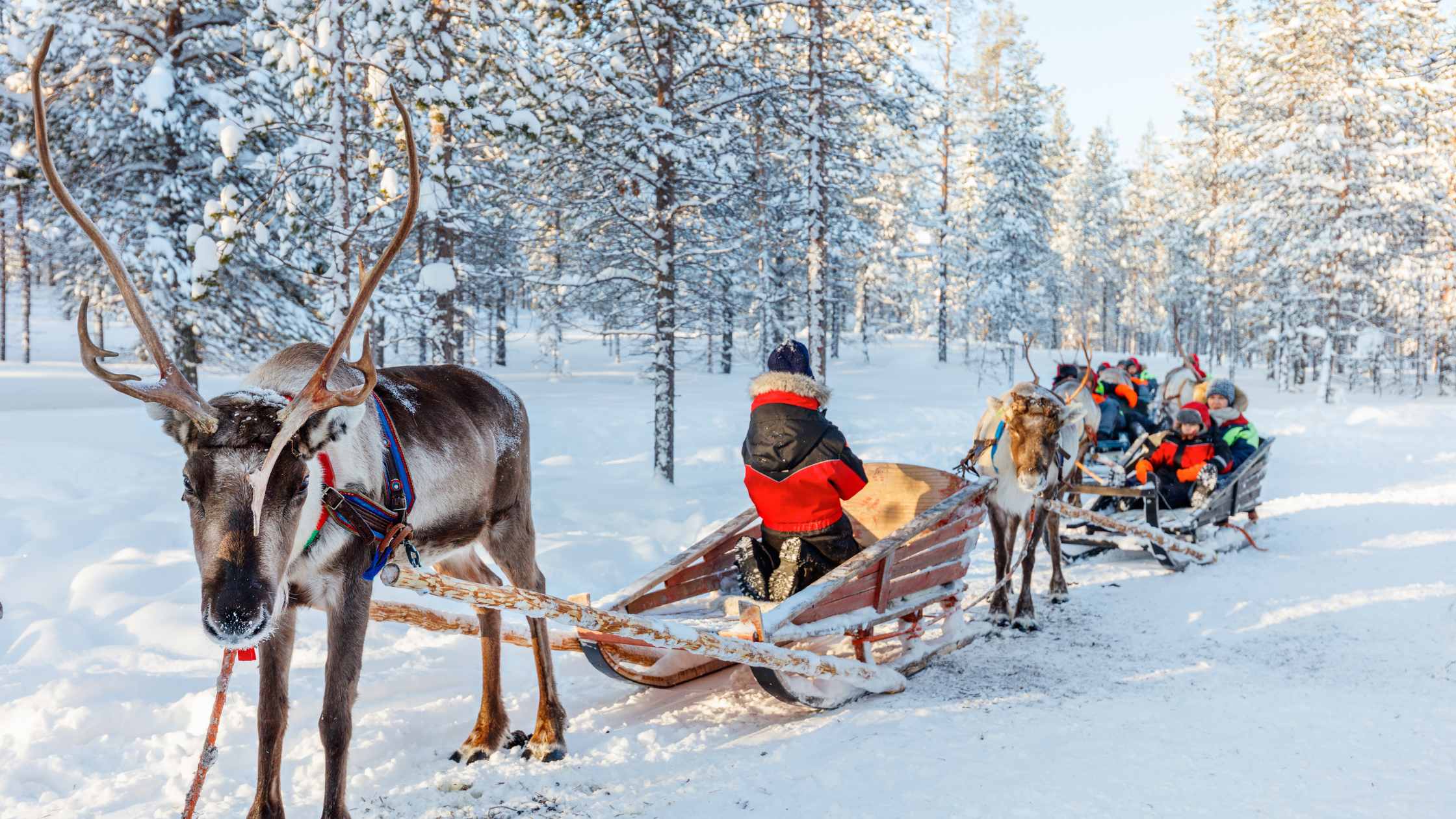 Organiser le meilleur voyage en Laponie pour rencontrer le Père Noël en 2024