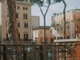 Week-end romantique à Rome : itinéraire de 3 jours