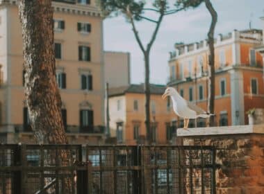 Week-end romantique à Rome : itinéraire de 3 jours