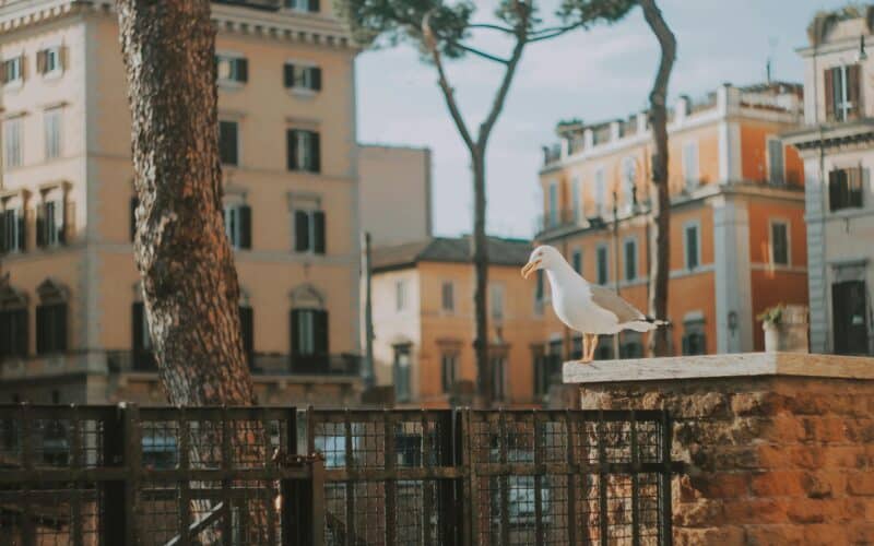 Itinerary for a Romantic Weekend in Rome