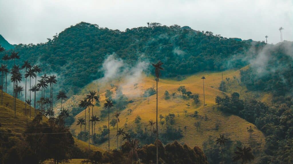 Découvrez les trésors de la Colombie avec Trazler 