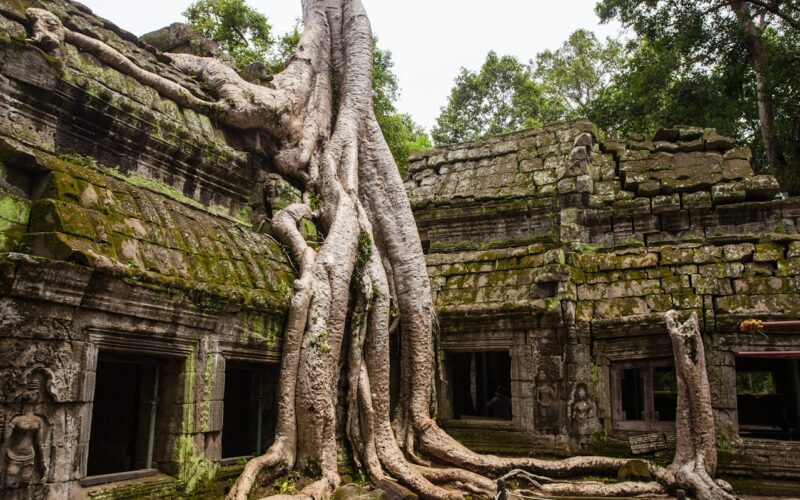 Les décors du Cambodge