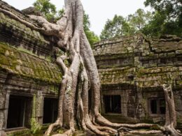 Discovering Angkor Wat in cambodge