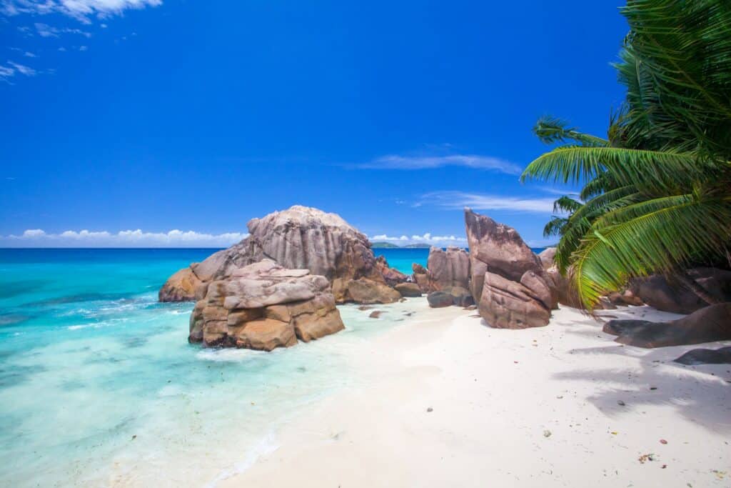 Enjoy the most beautiful beaches of the Seychelles with Trazler.